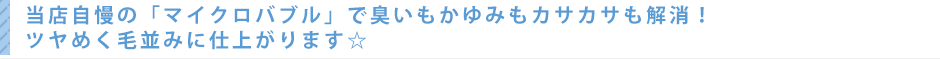 当店自慢の「マイクロバブル」でに臭いもかゆみもカサカサも解消！ツヤめく毛並みに仕上がります